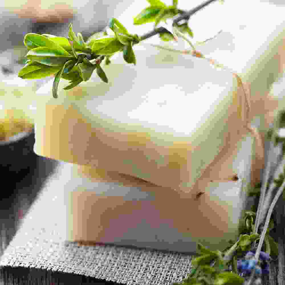 product23